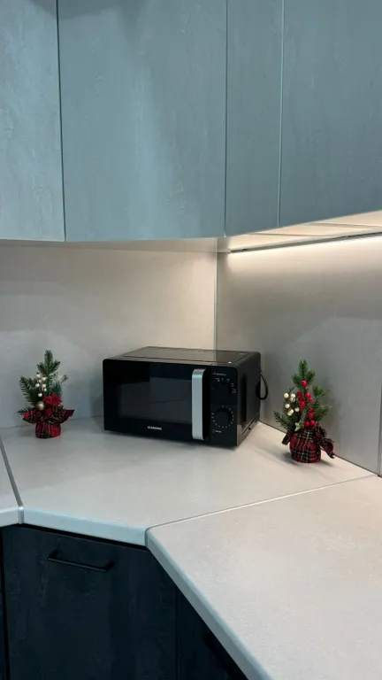 Двухкомнатная квартира в центре города