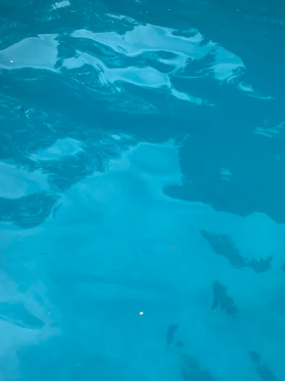 Новый дом с дизайнерским ремонтом