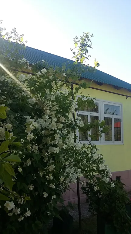 7-комнатный Дом