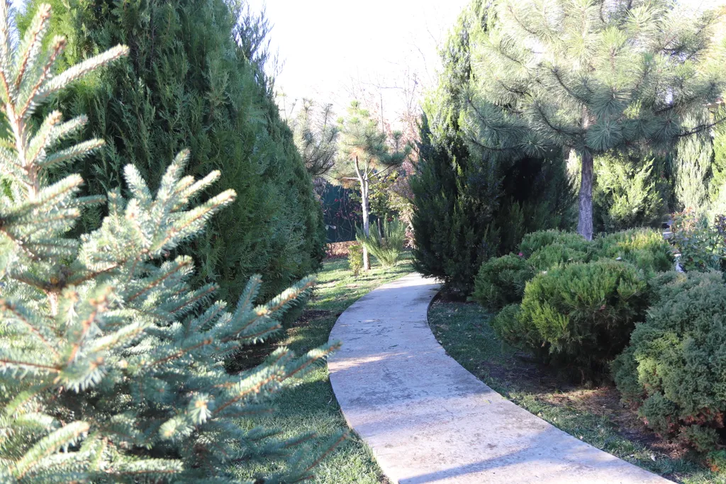 Загородный дом-шале "Pinebrook", аренда, у реки Дон. Сезонный бассейн.