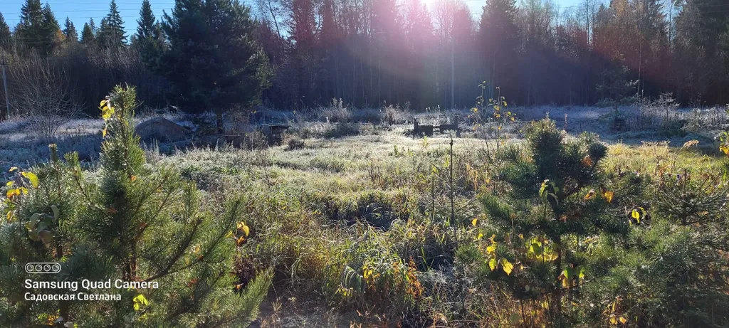 Коттедж Уэкенд в Коробицыно