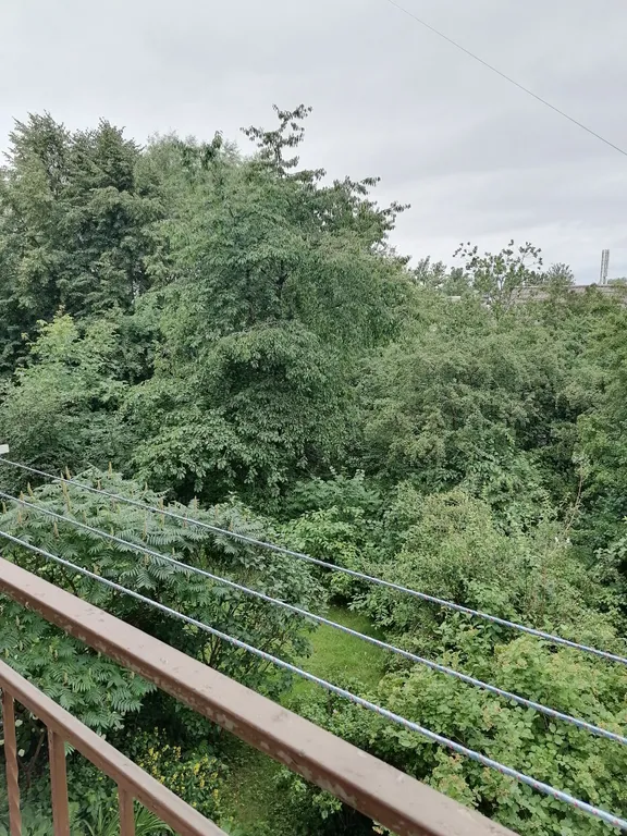 Квартира Уютная квартира в центре города — Пионерский