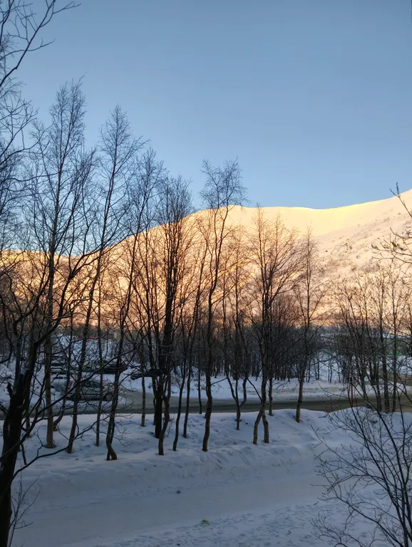 Однушка рядом со склоном