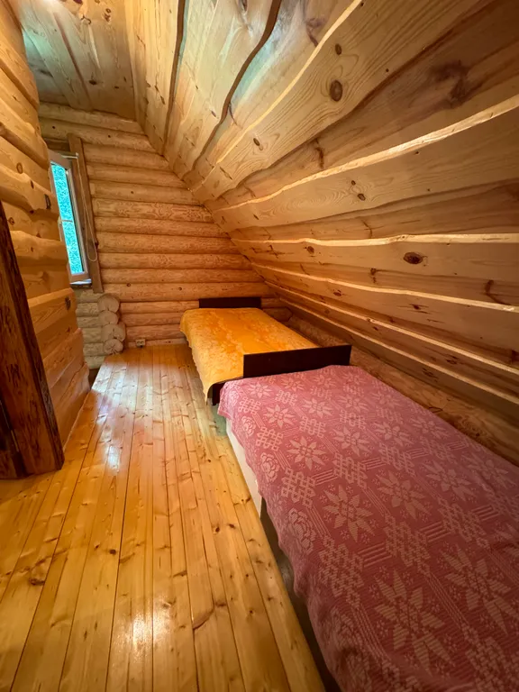 Деревянный дом в лесу рядом с рекой