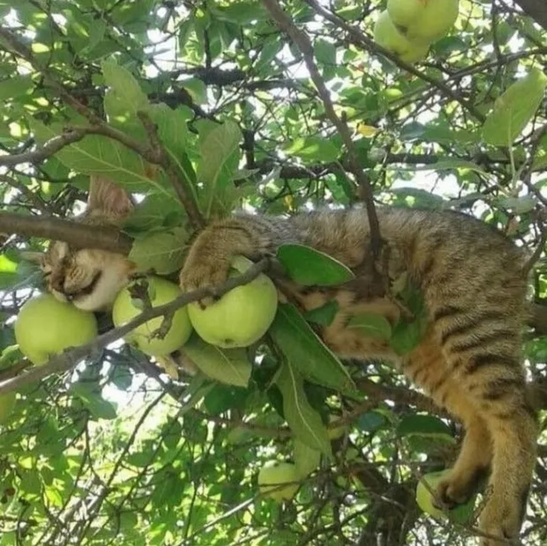 Солнечный домик в беловежской пуще без соседей, баня, озера, экскурсии