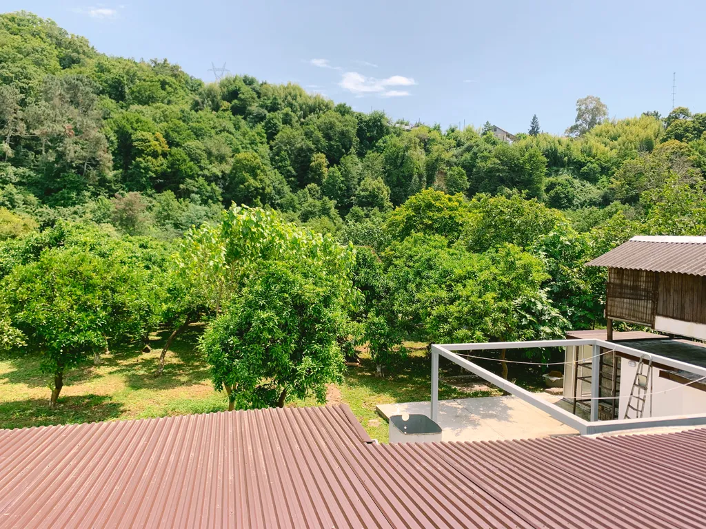 Апартамент в мандариновом саду