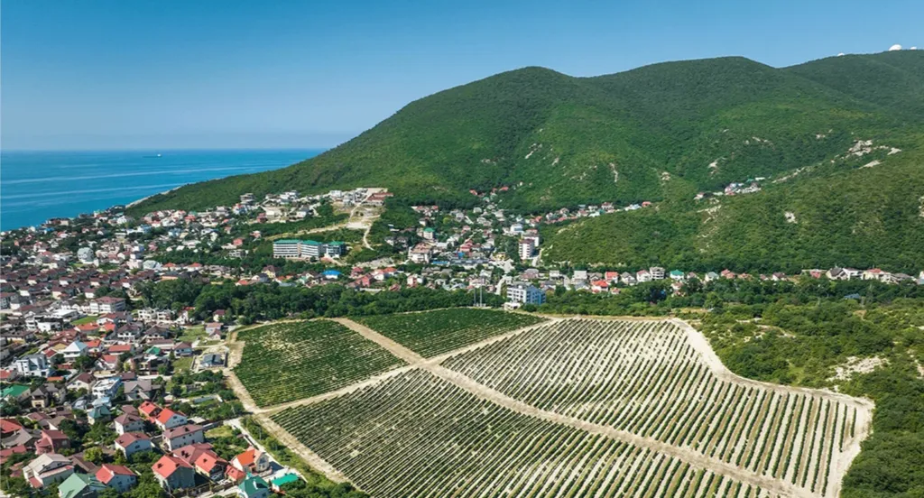 Уютная двухкомнатная студия у моря