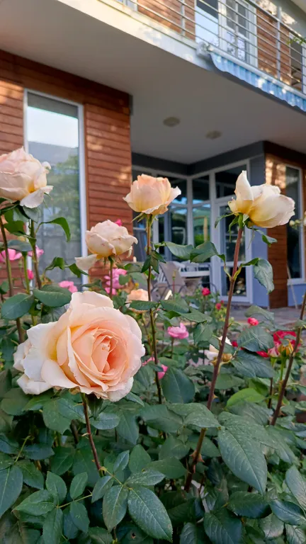 Уютная семейная студия с кухней и стиральной машинкой до 5 человек