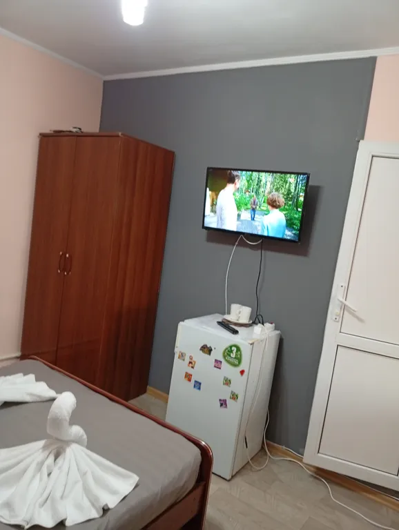 с одной двуспальной или 2 односпальными кроватями и доп спальным мест