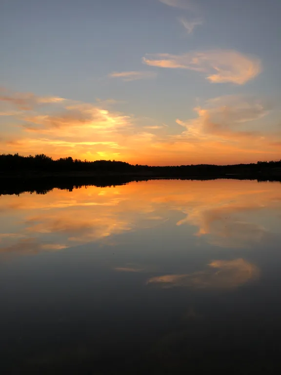 Квартира Уютная квартира в хвойном лесу на Волге — Шоша, п.