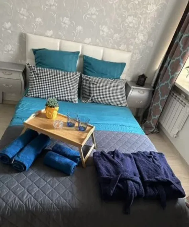 Уютная однокомнатная квартира — аренда посуточно в Пушкино