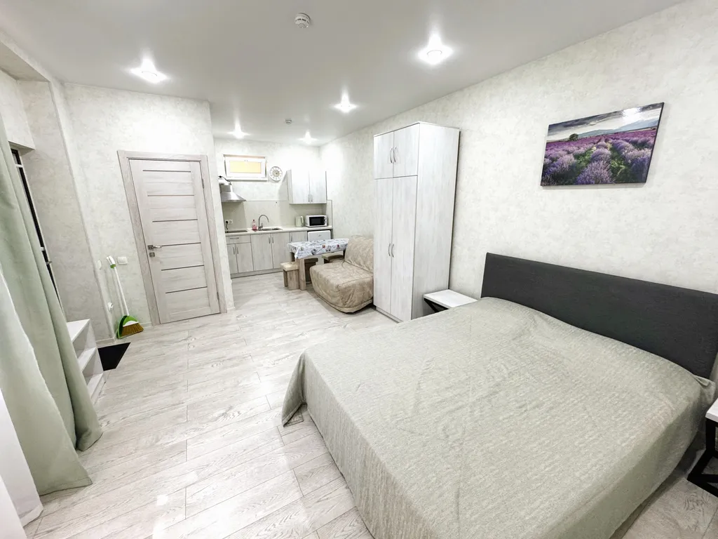 Семейные апартаменты - студия с кухней и отдельным входом №5