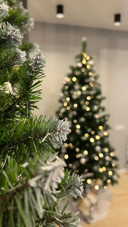 Эксклюзивные двухуровневые апартаменты в центре города