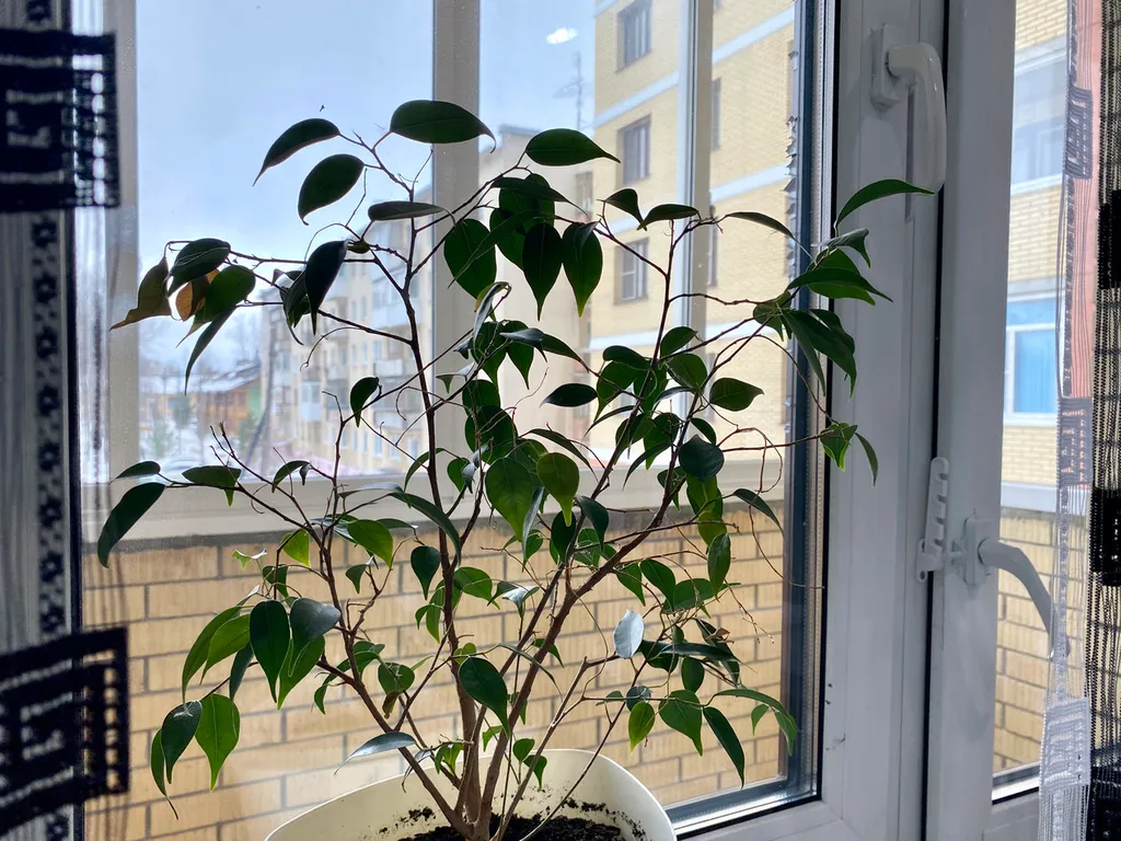 Квартира в центре города