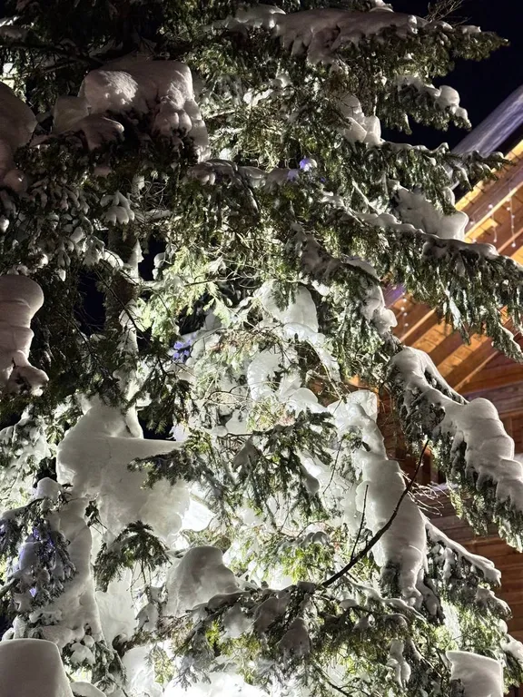 To samoe mesto Sheregesh