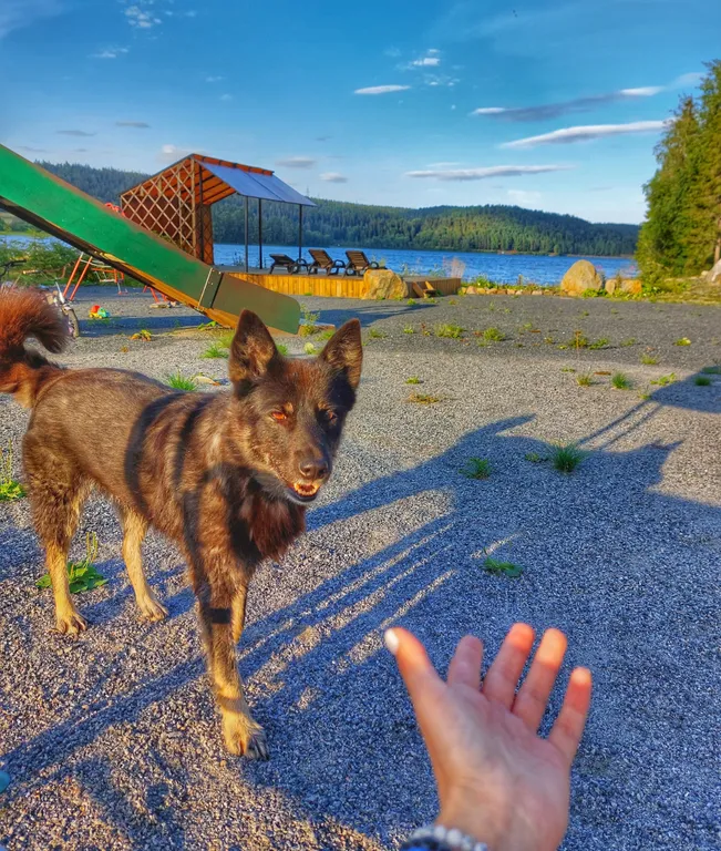 «Шале у Озера 1»