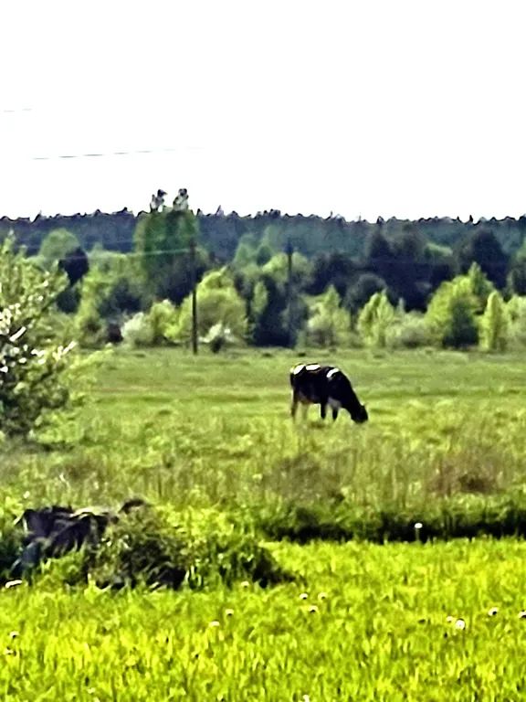 Очаровательный домик с деревенским колоритом вблизи замков