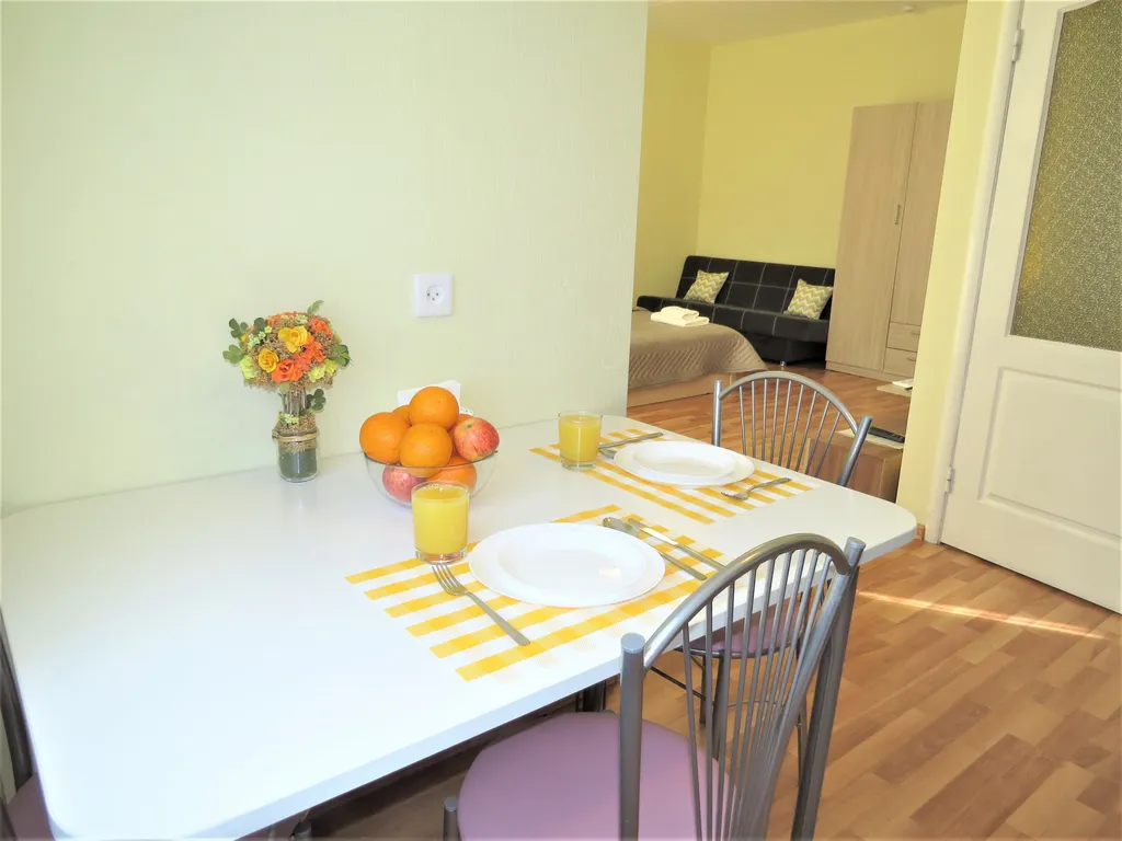 Квартира 2-комнатная светлая просторная квартира у метро Чкаловская — Екатеринбург