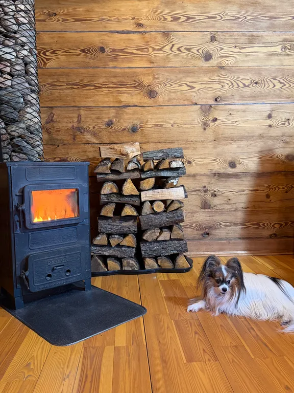 Гостевой Дом 14 в Беловежской пуще на территории Национального парка