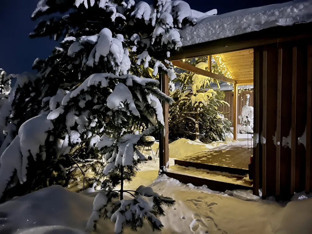 Коттедж 42 метра в лесу у пруда