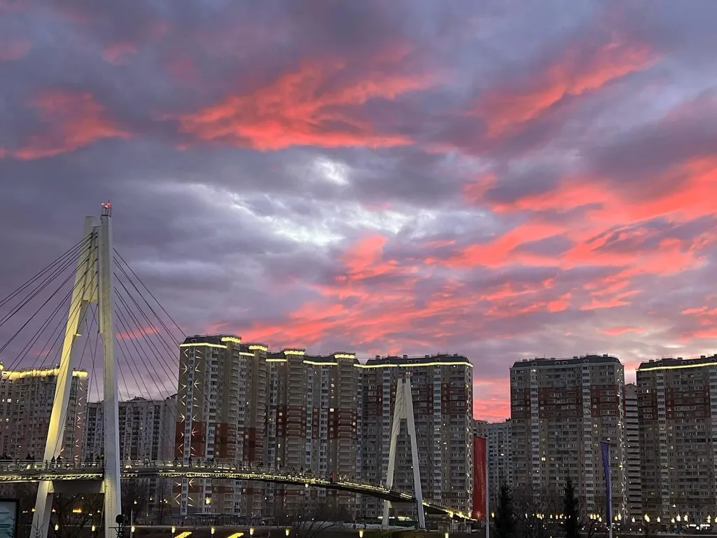 Crocus Suite апартаменты