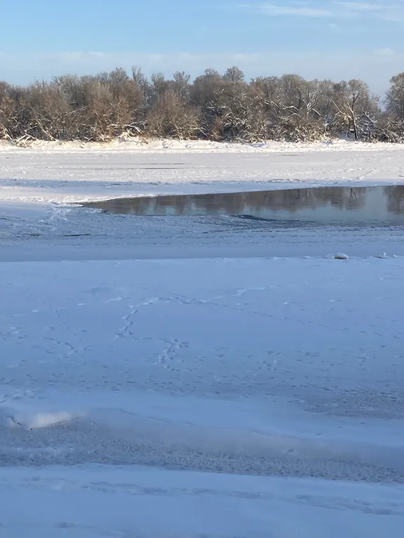 Усадьба Белый кролик