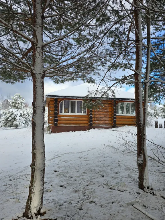 Благоустроенный стильный дом на 1 линии о.Селигер