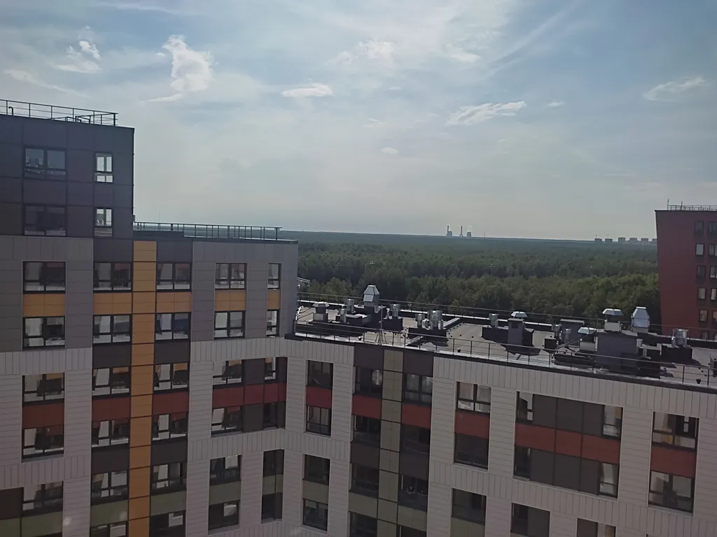 Студия с видом на лес