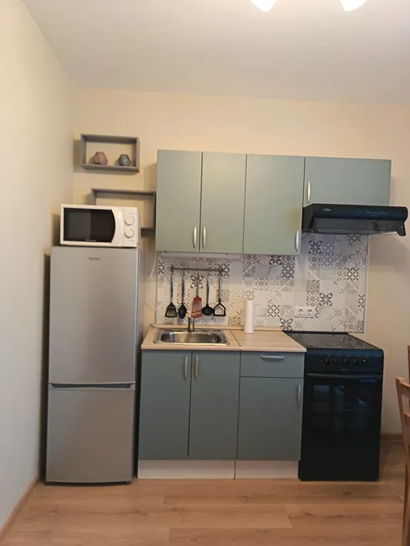 Квартира Однокомнатная квартира у НИИ Петрова — Песочный