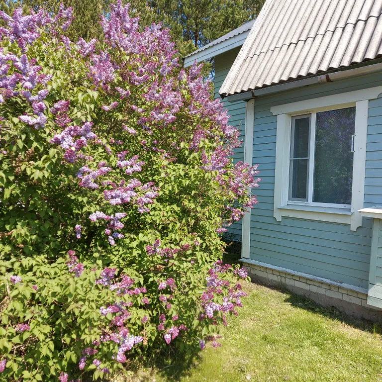 Деревенский дом