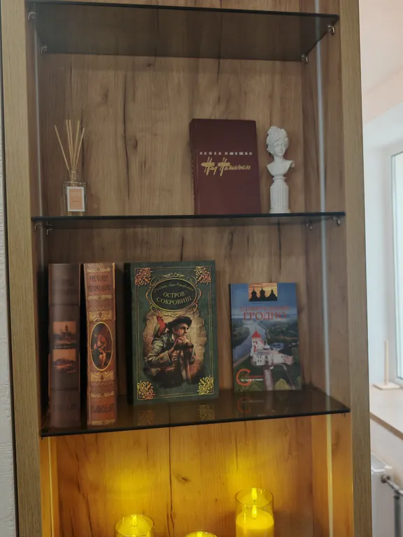 Уникальная квартира с камином в историческом центре города