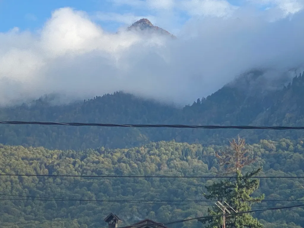 2-комнатный апартамент