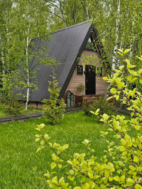 Красивые панорамные домики около леса