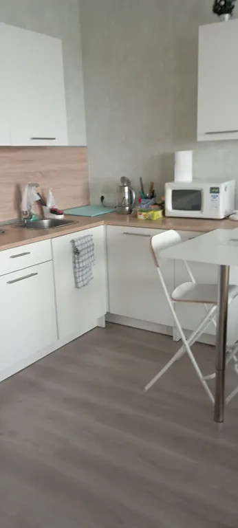 Квартира 1-комнатная Квартира — Янино-1