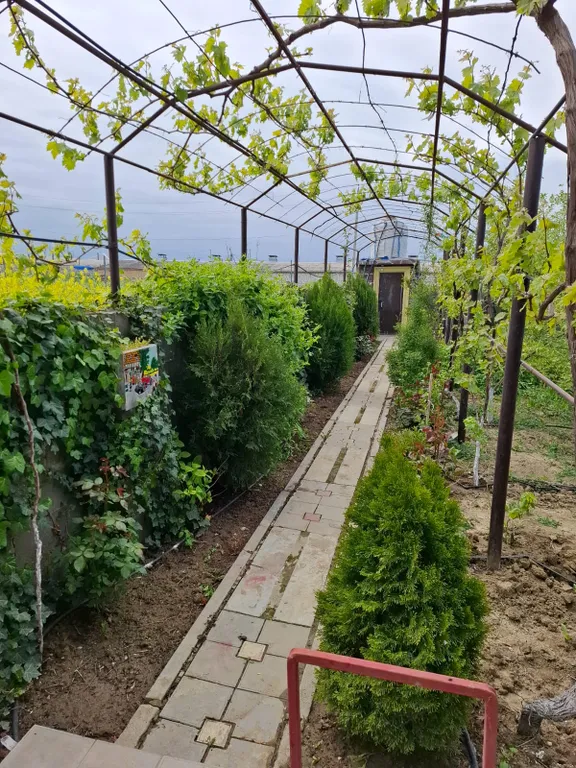 Райский уголок