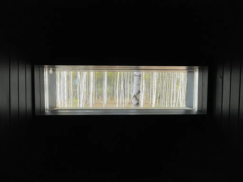 Большое солнечное шале Афрейм с баней и купелью в березовом лесу