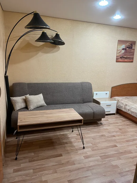 Уютная однокомнатная квартира в центре города