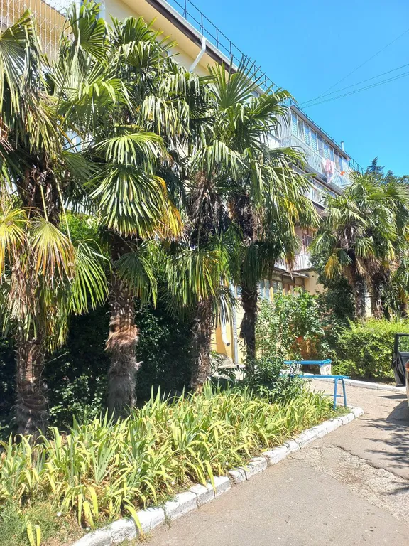 Уютная однокомнатная квартира в Партените