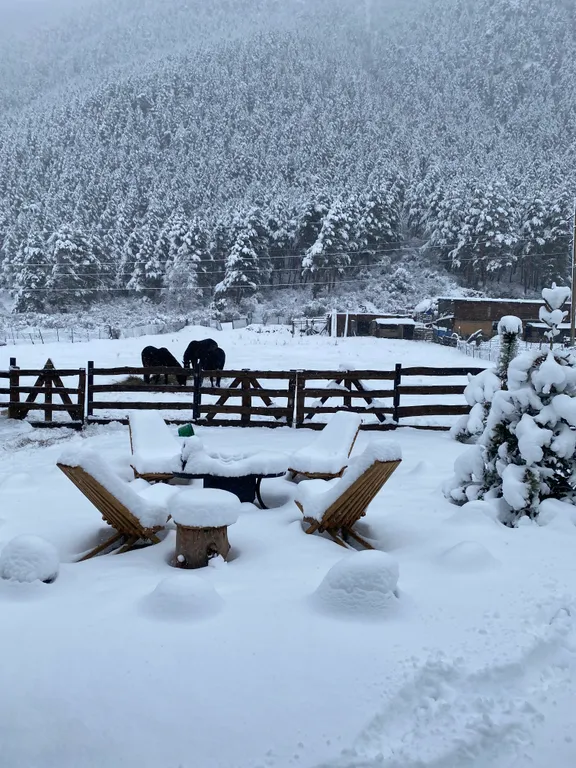 Уютный домик под лесом