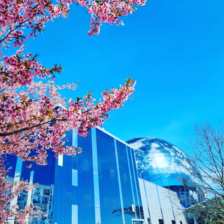 Центр, рядом с Музеем Мирового Океана