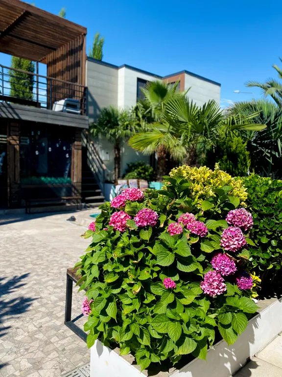 Коттедж Домик у бассейна — Сириус