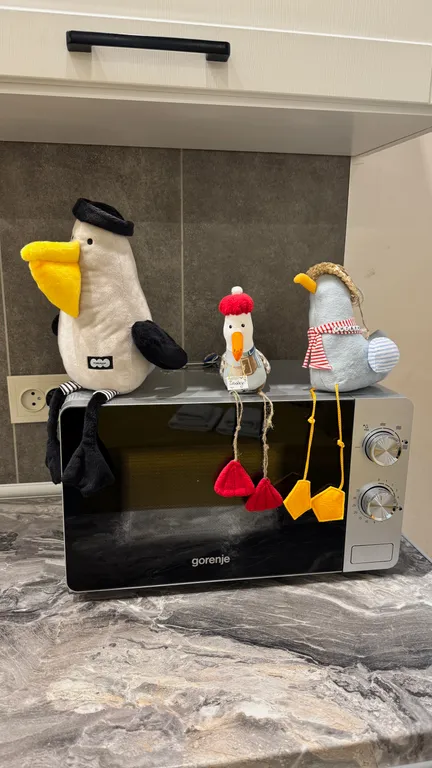 Квартира Квартира Новый апартамент в самом сердце Светлогорска — Светлогорск