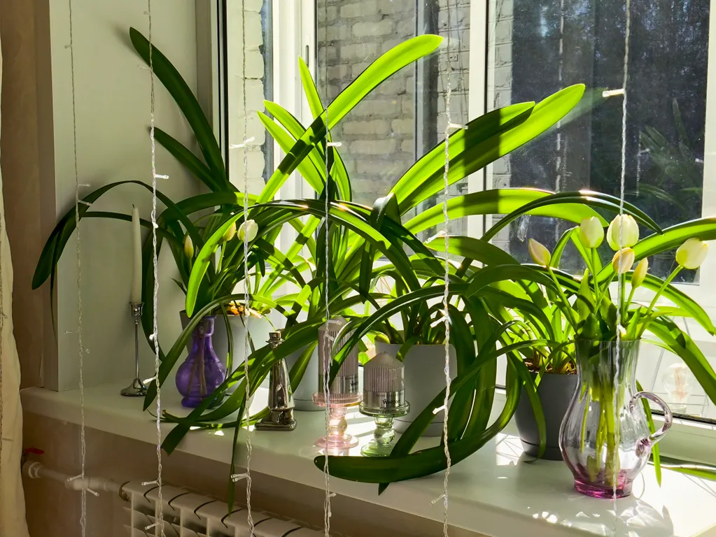 Уютная квартира в центре города для 6