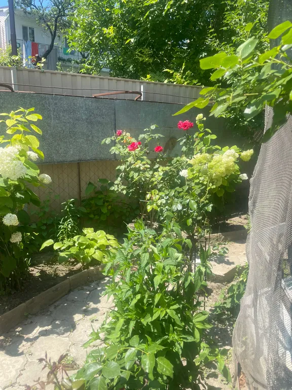 Квартира Квартира Гостевой дом Эмили — Анапа