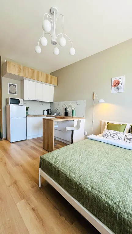 Квартира Квартира Уютная студия в Песочном — Песочный