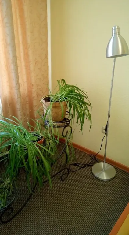 2-комнатная квартира ж/д р-н