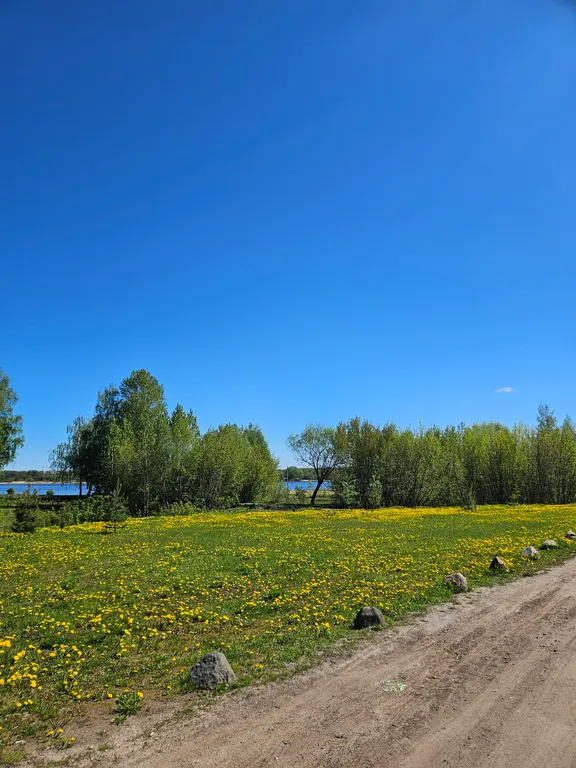 Квартира Уютная квартира у слияния двух рек: Волга в 200 метрах — Ярославль