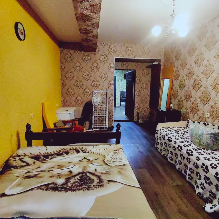 Комната в центре