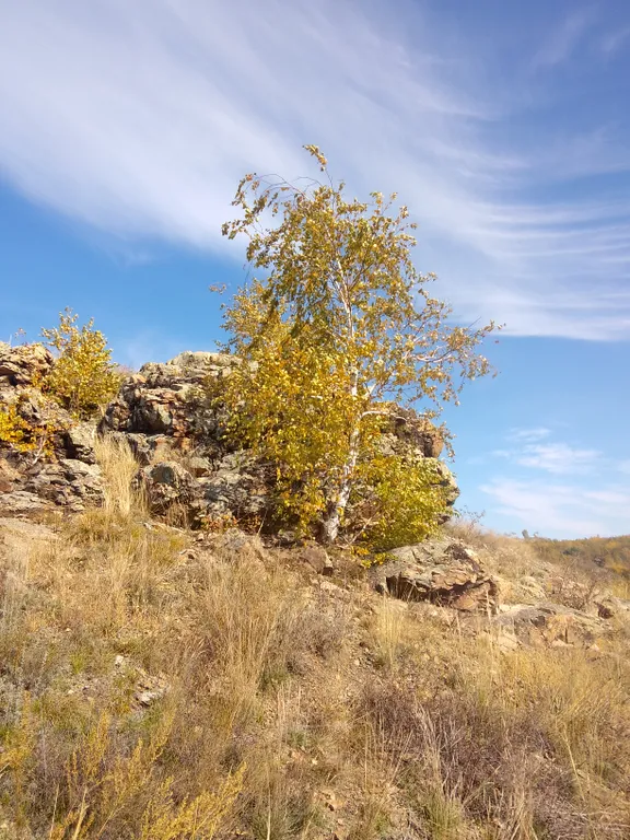 Большой дом с камином и новой баней