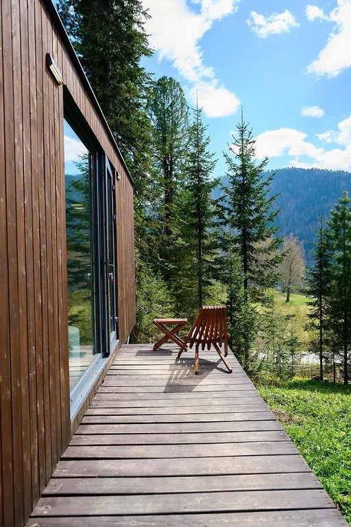 Домик с видом на Телецкое озеро